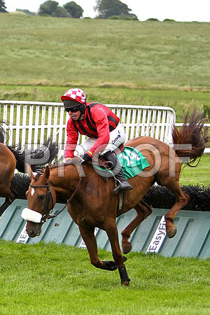 Fastec Express PU, Jockey A E Lynch - CU2D0836-e