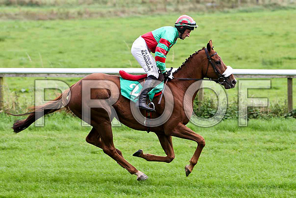 Claragh Native , Jockey P W Flood -  8th- CU2D2336-e
