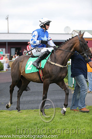 02nd Listen Dear ( 2 , royal blue, light blue star ) and P. Townend - Trainer : W.P. Mullins - Owner : Supreme Horse Racing Club