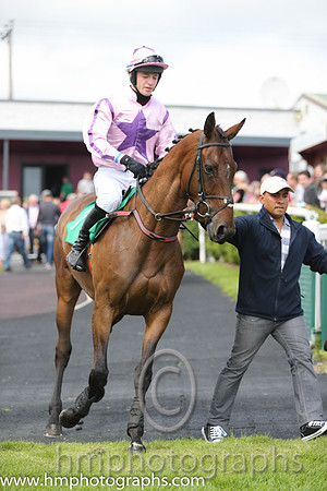 03rd Annskert Lady ( 7 , pink, purple star ) and J.S. McGarvey (3) - Trainer : Anthony McCann - Owner : Anthony McCann