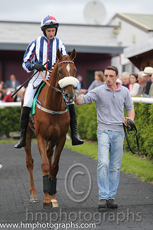 04th Crafty Codger ( 6 , navy blue, white stripes ) and A.P. Heskin - Trainer : Kevin Prendergast - Owner : Mrs. Kevin Prendergast