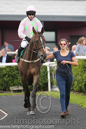 01st Childrens List ( 1 , pink, light green spots ) and P. Townend - Trainer : W.P. Mullins - Owner : Mrs S Ricci