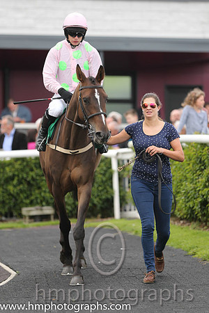 01st Childrens List ( 1 , pink, light green spots ) and P. Townend - Trainer : W.P. Mullins - Owner : Mrs S Ricci