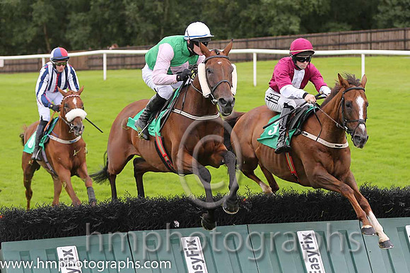 06th The Bosses Cousin ( 5 , emerald green , pink diamonds ) and D.J. Mullins (3) - Trainer : W.P. Mullins - Owner : Mrs J.M.Mullins