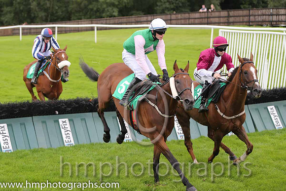 06th The Bosses Cousin ( 5 , emerald green , pink diamonds ) and D.J. Mullins (3) - Trainer : W.P. Mullins - Owner : Mrs J.M.Mullins