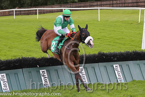03rd Bank Bonus (GB) ( 2 , emerald green, white braces ) and K.M. Donoghue - Trainer : Gordon Elliott - Owner : STU Syndicate