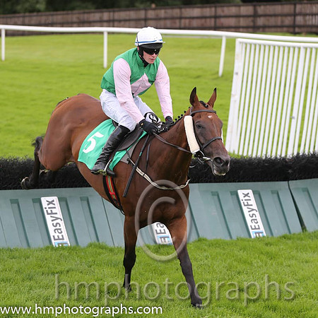 06th The Bosses Cousin ( 5 , emerald green , pink diamonds ) and D.J. Mullins (3) - Trainer : W.P. Mullins - Owner : Mrs J.M.Mullins