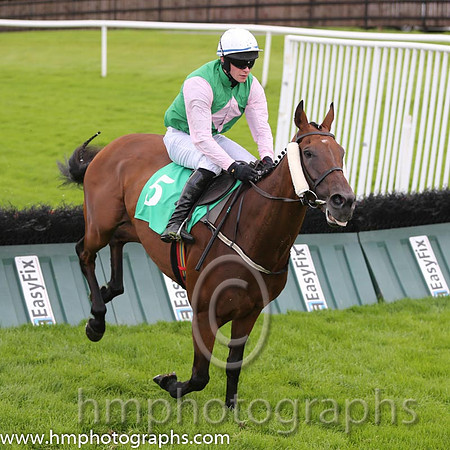 06th The Bosses Cousin ( 5 , emerald green , pink diamonds ) and D.J. Mullins (3) - Trainer : W.P. Mullins - Owner : Mrs J.M.Mullins