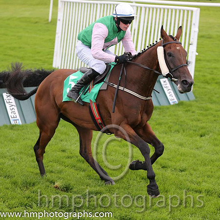 06th The Bosses Cousin ( 5 , emerald green , pink diamonds ) and D.J. Mullins (3) - Trainer : W.P. Mullins - Owner : Mrs J.M.Mullins