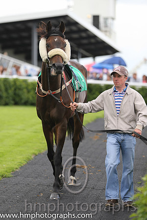 12th Havelock Ellis (GB) ( 1 , dark green, red cross sashes ) and A. Ring (5) - Trainer : J.F. Levins - Owner : Mrs. Carol O'Neill/Kevin O'Neill