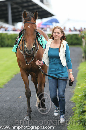 09th Urban Dusk ( 5 , white and black chevrons ) and D.R. Fox (3) - Trainer : Mark Michael McNiff - Owner : Sligo Racing Club
