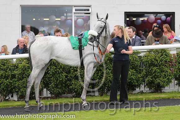 10th The Absent Mare (GB) ( 9 , purple and white qtrd ) and K.M. Donoghue - Trainer : Gordon Elliott - Owner : T. Howley Jnr/Oliver Jack Murphy