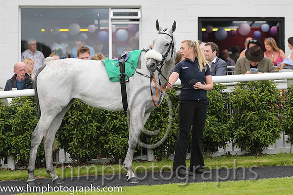 10th The Absent Mare (GB) ( 9 , purple and white qtrd ) and K.M. Donoghue - Trainer : Gordon Elliott - Owner : T. Howley Jnr/Oliver Jack Murphy