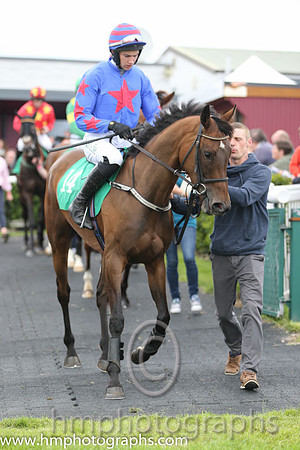 08th Milano Express ( 14 , royal blue, red star ) and A.P. Heskin - Trainer : P.A.Fahy - Owner : Mrs N.Fahy