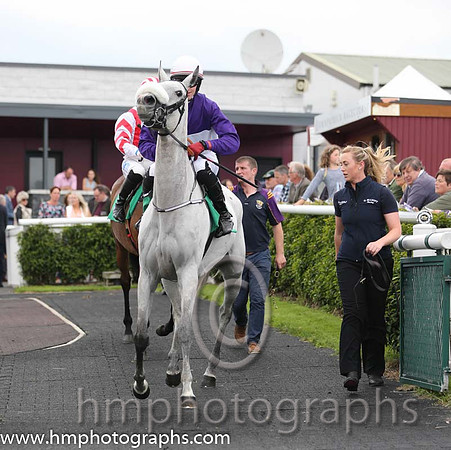 10th The Absent Mare (GB) ( 9 , purple and white qtrd ) and K.M. Donoghue - Trainer : Gordon Elliott - Owner : T. Howley Jnr/Oliver Jack Murphy