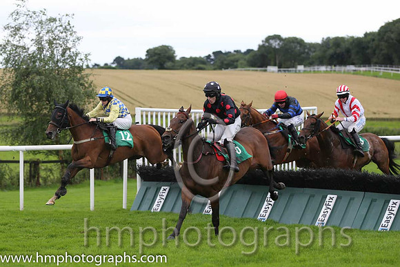 03rd Authorative ( 6 , black, red spots ) and J.S. McGarvey (3) - Trainer : Anthony McCann - Owner : Miss Rita Shah