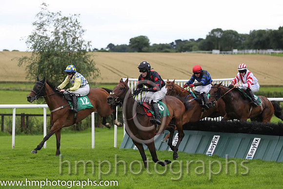 05th Personal Shopper (GB) ( 12 , royal blue and yellow check ) and Rachael Blackmore (7) - Trainer : H. Smyth - Owner : H. Smyth