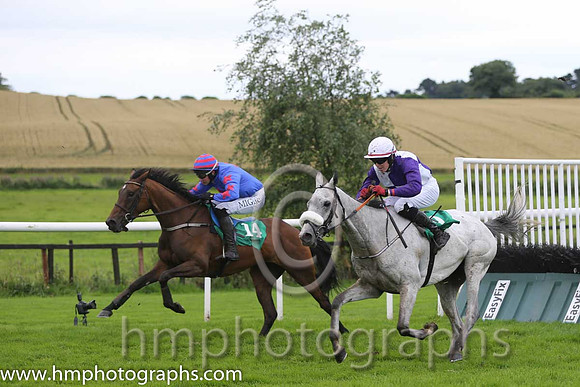 08th Milano Express ( 14 , royal blue, red star ) and A.P. Heskin - Trainer : P.A.Fahy - Owner : Mrs N.Fahy