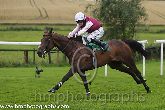 07th Kalico Kalista ( 8 , maroon, pink sleeves ) and A.E. Lynch - Trainer : John Patrick Ryan - Owner : John Patrick Ryan
