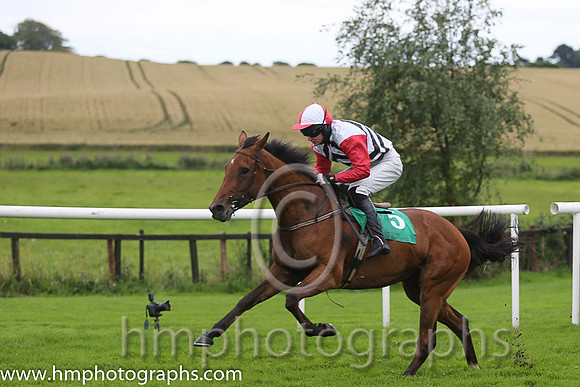 09th Urban Dusk ( 5 , white and black chevrons ) and D.R. Fox (3) - Trainer : Mark Michael McNiff - Owner : Sligo Racing Club