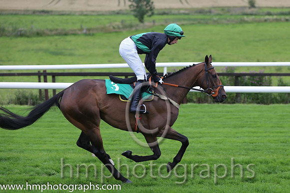 06th Benarty Hill ( 3 , black, emerald green sash ) and C.D. Maxwell (3) - Trainer : Liam Lennon - Owner : Liam Lennon