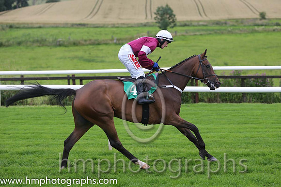 07th Distant Rain ( 4 , maroon, white star ) and J.J. Burke - Trainer : Ms. Sandra Hughes - Owner : Gigginstown House Stud