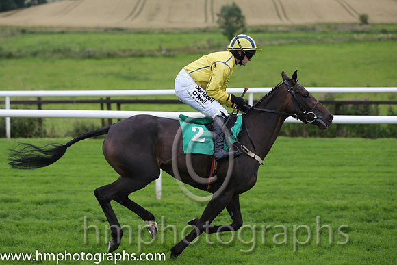01st Westerner Lady ( 2 , yellow, royal blue seams ) and P. Townend - Trainer : W.P. Mullins - Owner : Anthony P. Butler