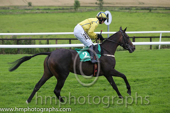 01st Westerner Lady ( 2 , yellow, royal blue seams ) and P. Townend - Trainer : W.P. Mullins - Owner : Anthony P. Butler