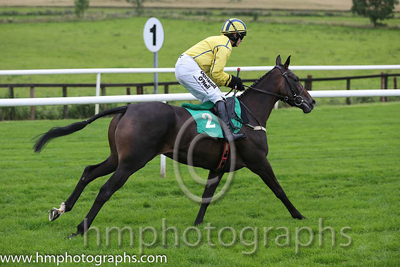 01st Westerner Lady ( 2 , yellow, royal blue seams ) and P. Townend - Trainer : W.P. Mullins - Owner : Anthony P. Butler