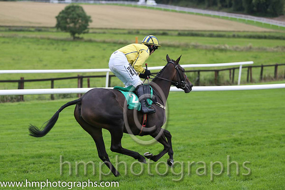 01st Westerner Lady ( 2 , yellow, royal blue seams ) and P. Townend - Trainer : W.P. Mullins - Owner : Anthony P. Butler