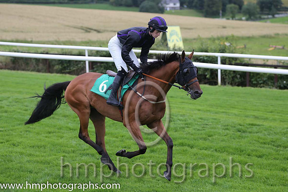 05th Indian Whiskey ( 6 , black, purple seams ) and T.E. Doran (7) - Trainer : J.A. Nash - Owner : J.A. Nash