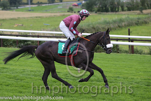 03rd The Drone ( 8 , maroon, light blue spots ) and L.P. Dempsey (3) - Trainer : Gordon Elliott - Owner : Oliver Jack Murphy