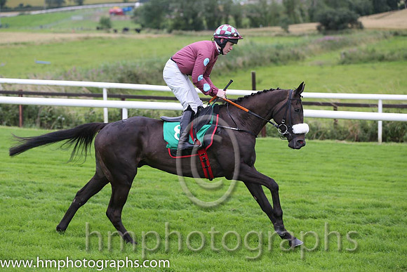 03rd The Drone ( 8 , maroon, light blue spots ) and L.P. Dempsey (3) - Trainer : Gordon Elliott - Owner : Oliver Jack Murphy