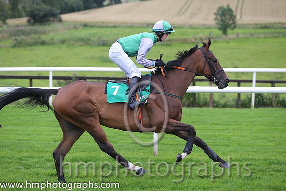 03rd The Drone ( 8 , maroon, light blue spots ) and L.P. Dempsey (3) - Trainer : Gordon Elliott - Owner : Oliver Jack Murphy