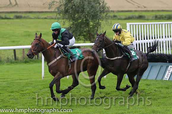 01st Westerner Lady ( 2 , yellow, royal blue seams ) and P. Townend - Trainer : W.P. Mullins - Owner : Anthony P. Butler