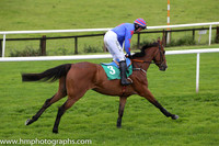 07th Trust No One ( 3 , royal blue, red star ) and A.P. Heskin - Trainer : P.A.Fahy - Owner : Mrs N.Fahy
