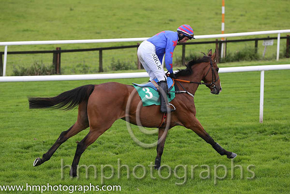 07th Trust No One ( 3 , royal blue, red star ) and A.P. Heskin - Trainer : P.A.Fahy - Owner : Mrs N.Fahy