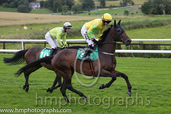 02nd The Informer ( 8 , yellow, light green star ) and P. Townend - Trainer : Emmet Michael Butterly - Owner : James Ferry