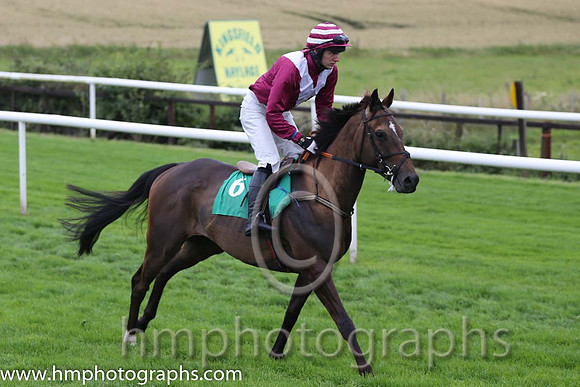 01st Mr Mulliner ( 6 , maroon, white chevron ) and D.R. Fox (3) - Trainer : Mark Michael McNiff - Owner : Mrs M Carton