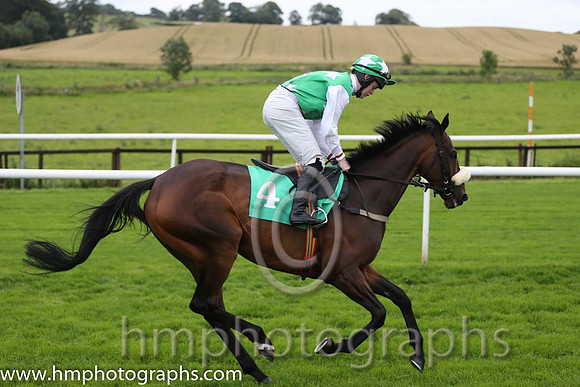 08th Abarta ( 4 , emerald green, white stars ) and L.P. Dempsey (3) - Trainer : V. T. O'Brien - Owner : Sean O'Brien