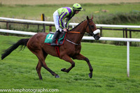 04th Sand Artist ( 11 , light green, purple chevron ) and J.W. Kennedy (7) - Trainer : Gordon Elliott - Owner : Christopher Donnelly