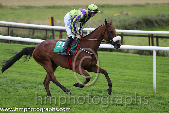 04th Sand Artist ( 11 , light green, purple chevron ) and J.W. Kennedy (7) - Trainer : Gordon Elliott - Owner : Christopher Donnelly