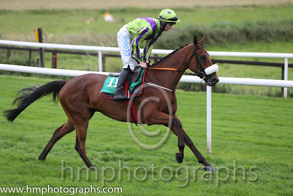 04th Sand Artist ( 11 , light green, purple chevron ) and J.W. Kennedy (7) - Trainer : Gordon Elliott - Owner : Christopher Donnelly