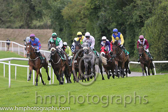 01st Mr Mulliner ( 6 , maroon, white chevron ) and D.R. Fox (3) - Trainer : Mark Michael McNiff - Owner : Mrs M Carton