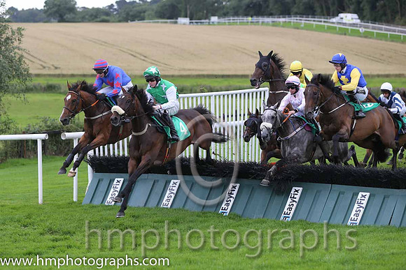08th Abarta ( 4 , emerald green, white stars ) and L.P. Dempsey (3) - Trainer : V. T. O'Brien - Owner : Sean O'Brien