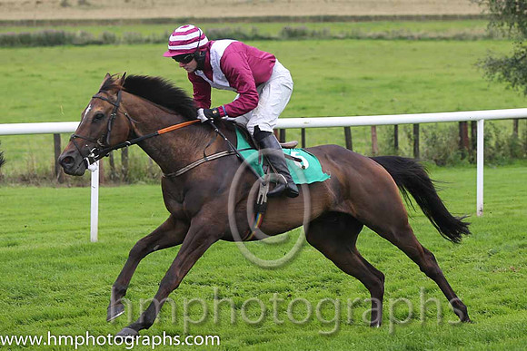 01st Mr Mulliner ( 6 , maroon, white chevron ) and D.R. Fox (3) - Trainer : Mark Michael McNiff - Owner : Mrs M Carton