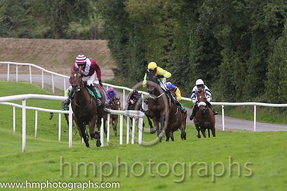 01st Mr Mulliner ( 6 , maroon, white chevron ) and D.R. Fox (3) - Trainer : Mark Michael McNiff - Owner : Mrs M Carton