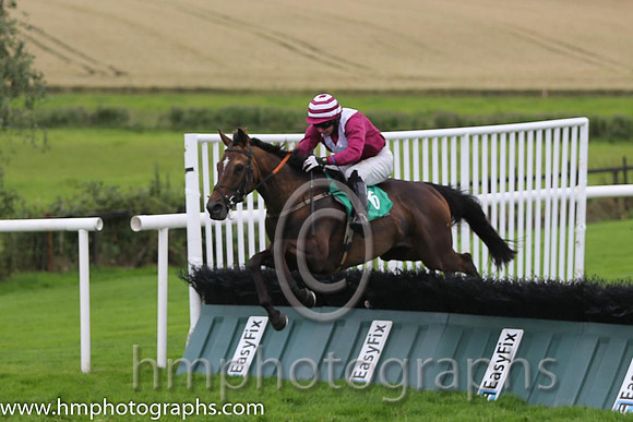 01st Mr Mulliner ( 6 , maroon, white chevron ) and D.R. Fox (3) - Trainer : Mark Michael McNiff - Owner : Mrs M Carton)