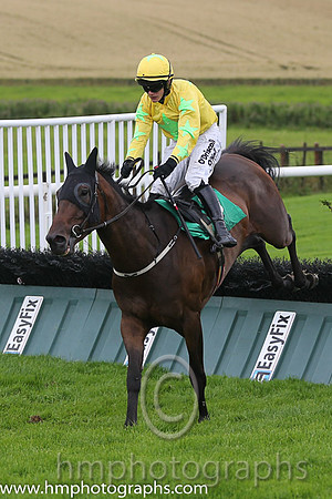 02nd The Informer ( 8 , yellow, light green star ) and P. Townend - Trainer : Emmet Michael Butterly - Owner : James Ferry