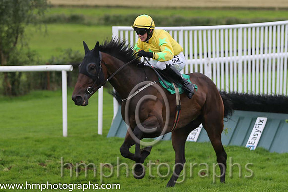 02nd The Informer ( 8 , yellow, light green star ) and P. Townend - Trainer : Emmet Michael Butterly - Owner : James Ferry